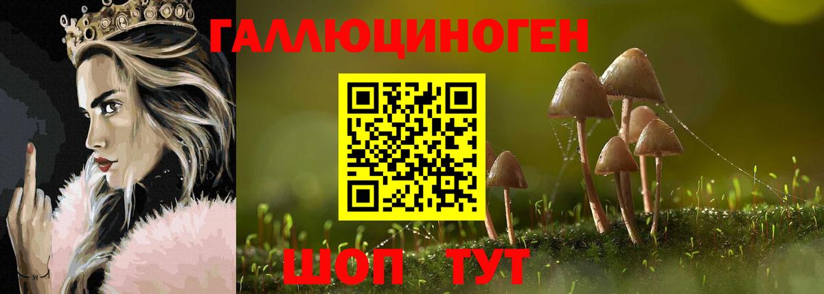 Галлюциногенные грибы Cubensis Шали